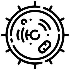 Cell