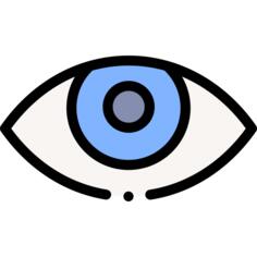 眼睛