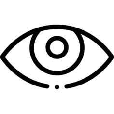 眼睛