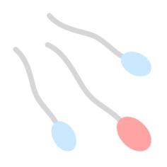 Sperms