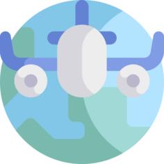 Flight