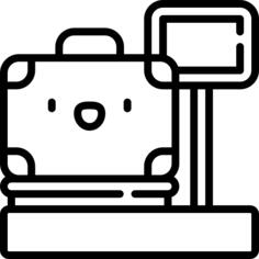 Luggage scale