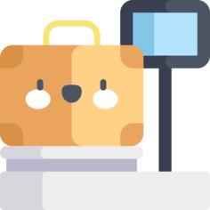 Luggage scale