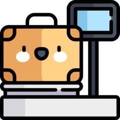 Luggage scale