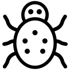 Computer bug