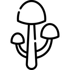 Hallucinogen