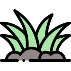 草