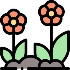 花卉