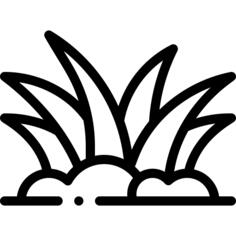 草