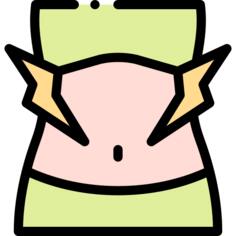 Stomach