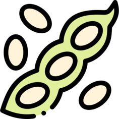黄豆