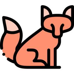 狐狸
