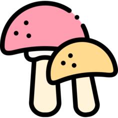 蘑菇