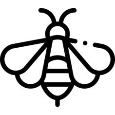 蜜蜂