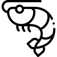 Shrimp