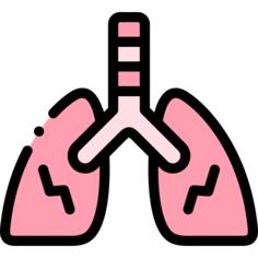 Lungs