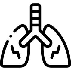 Lungs