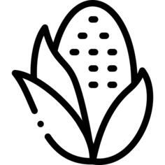 玉米