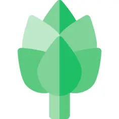 Artichoke
