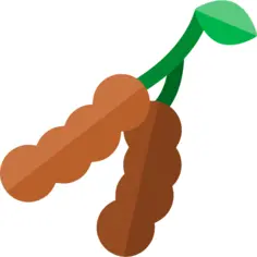 Tamarind