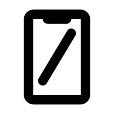 Display size