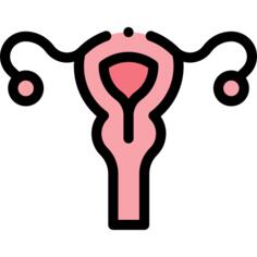 子宫
