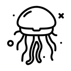 Jellyfish