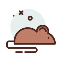 鼠
