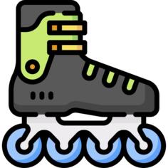 Roller skate