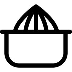 Citrus juicer
