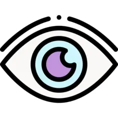 眼睛
