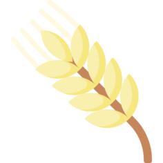 Wheat