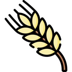 Wheat