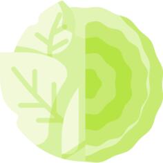 卷心菜