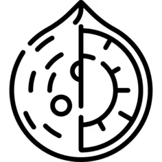 椰子