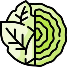 卷心菜