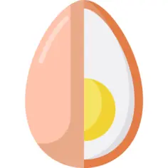Egg