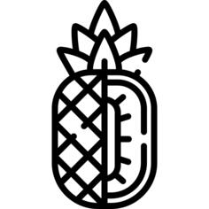 菠萝