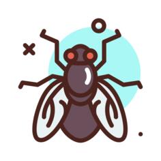 Fly