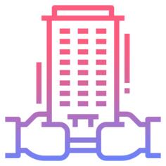 Shareholder
