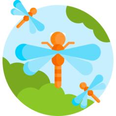 Dragonfly