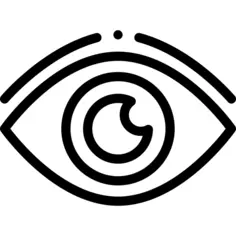 眼睛