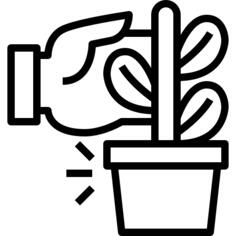 种植