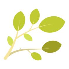 Branch