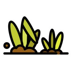 草