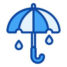 雨伞