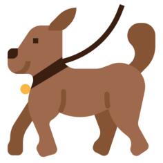 狗