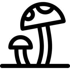 蘑菇