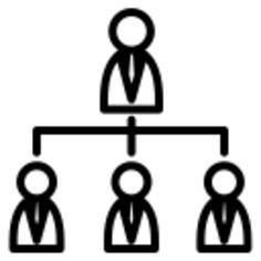 Organization