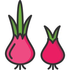 Onion